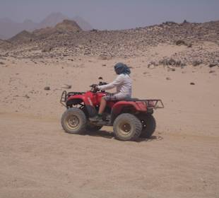 Quad Tour
