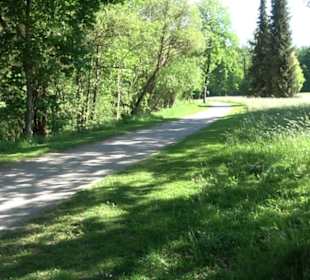 Kurpark Bad Niedernau