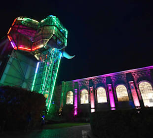 Herbstleuchten Maximilianpark in Hamm