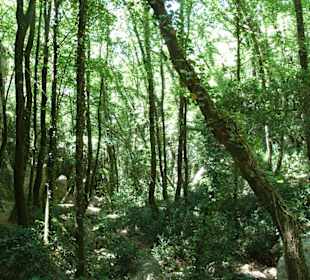 Klettergebiet Mazet-Plage