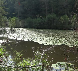 Schaichtalweg - Schlüsselsee