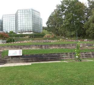 System der Pflanzen