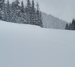 Wandern Ramsau am Dachstein