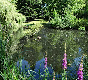 Impressionen aus dem Schlossgarten