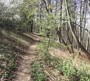 Wanderweg Hochgehkämpft