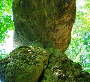 Wanderung zum Bärenfels