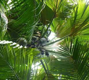 Fond Ferdinand Naturpark