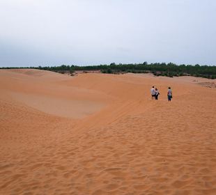 Red Sand Dunes