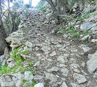 Steiniger Weg