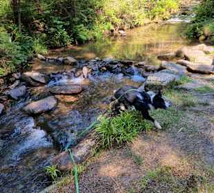 Wandern Drachselsried
