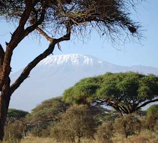 Amboseli