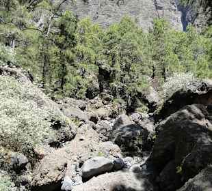 Caldera de Taburiente
