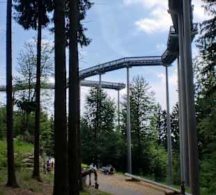 Waldwipfelweg
