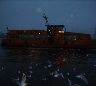 Der König der Löwen