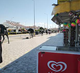 Stadtrundgang Evrenseki 