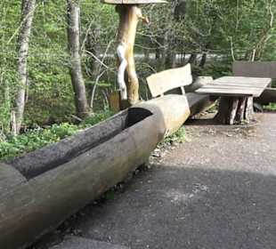 Barfußpfad Firstwald