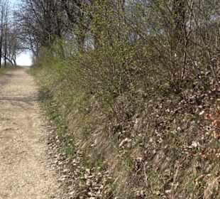 Wanderung Florianrunde