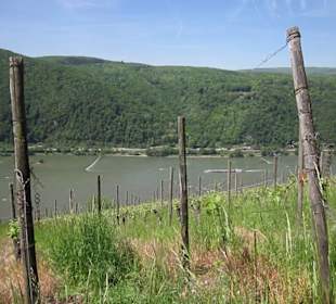 Impressionen Kräuterweg in Assmannshausen