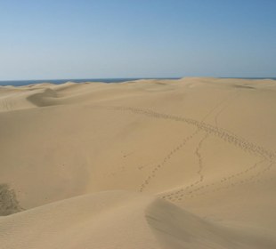Wydmy w Maspalomas