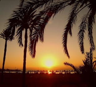 Sonnenuntergang am Strand