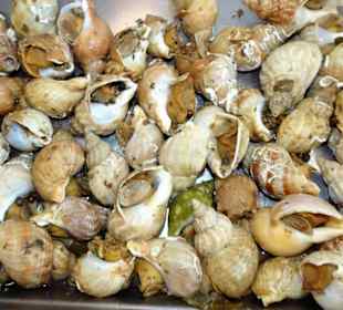 Auslage der Poissonnerie Ty´Breizh