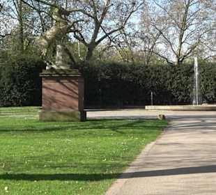 Historische Platanenallee im Unteren Schloßgarten