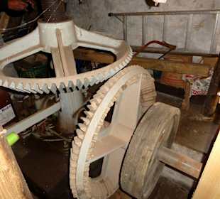 Zahnräder in der Kraftverteilung