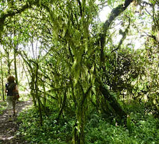 Weg zwischen den 2 Kratern