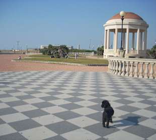 Terrazza mascagni livorno