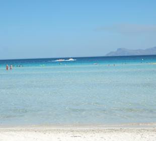 Traumhafter Strand Alcudia
