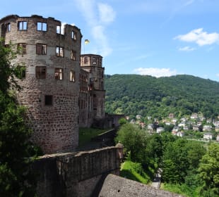 Schloss Heidelberg und Umgebung