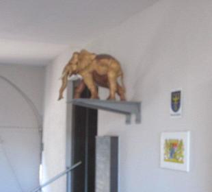 Elefant in Germersheim