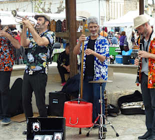 Monkey Doo - Tolle Swingband auf dem Markt!