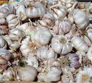 Impressionen vom Wochenmarkt Saint-Cyprien-Plage