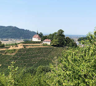 Wandern Gengenbach