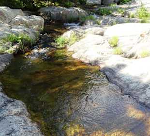 Impressionen von einer Wanderung an der Massane