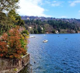 Ortasee