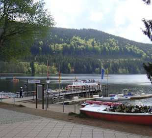 Фото из Титизее