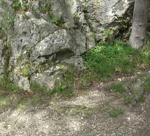 Schloss Wallerstein