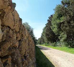 Wanderung im Naturpark Porto Salveggio