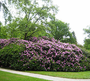 Schlosspark Lütetsburg