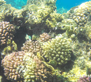 Rafa Hotelu Harmony Makadi