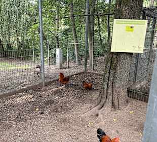 Alsdorf Zoo