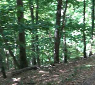 Unterer Greifenstein