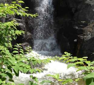 Land der Abenteuer - Dschungel X-pedition