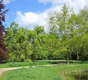 Impressionen aus dem Achterdiekpark