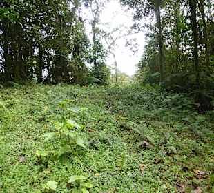 Hier läuft eine Erölpipline unten lang