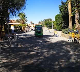 Lagunenfahrt durch El Gouna