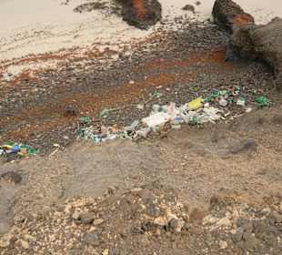 Müll an der Ostküste