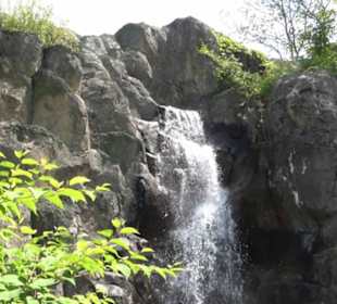 Land der Abenteuer - Dschungel X-pedition